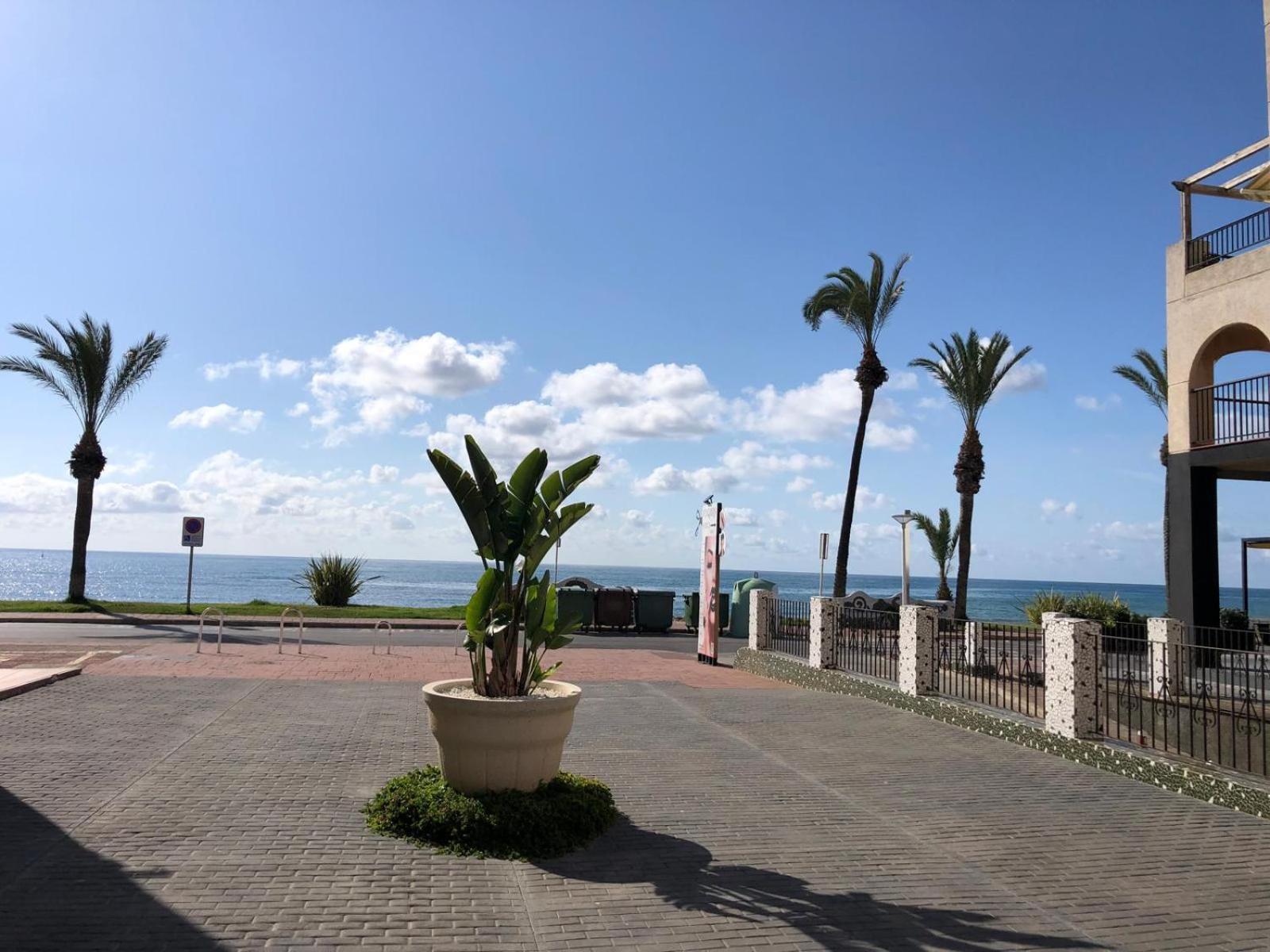 Regata Playa Apartment Oropesa del Mar Bagian luar foto