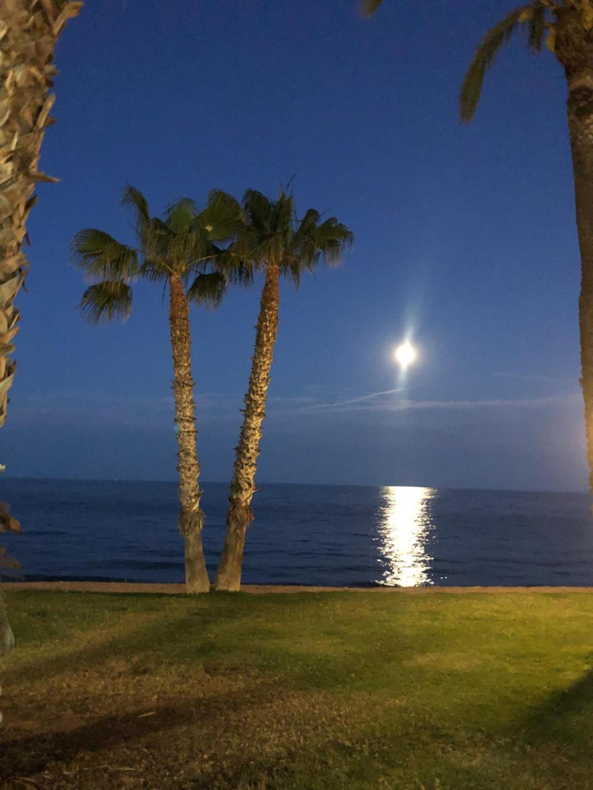 Regata Playa Apartment Oropesa del Mar Bagian luar foto